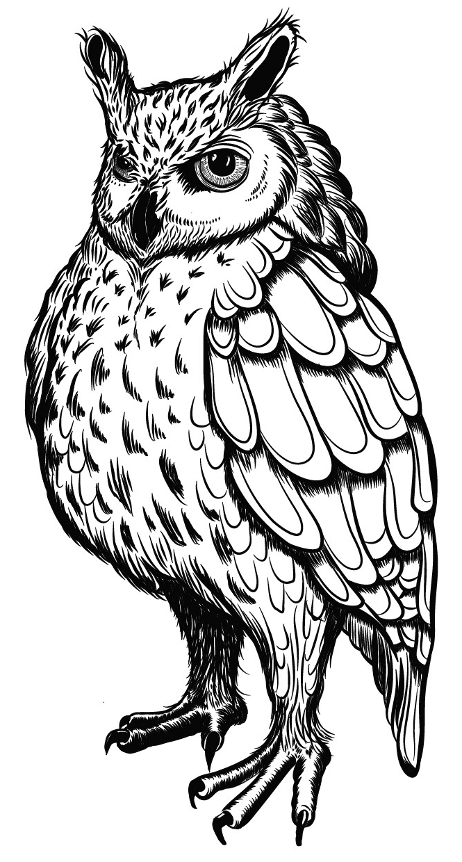 tier-eule-transparent Eule